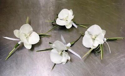 A Boutonniere - White Phalaenopsis