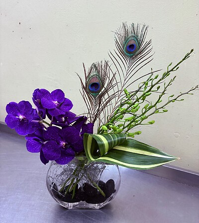 A Blue Orchid
