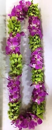 Orchid Lei - Pink and Chartreuse