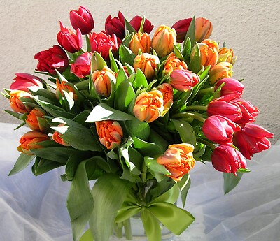 A Designer&#039;s choice - A Full of Love