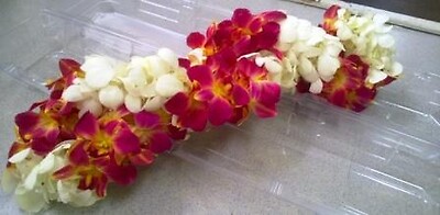 Orchid Lei - White and Coral