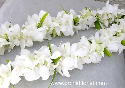 Orchid Lei - White Dendrobium