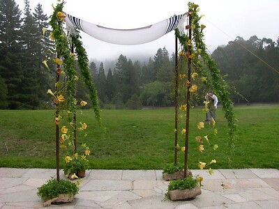 Chuppah
