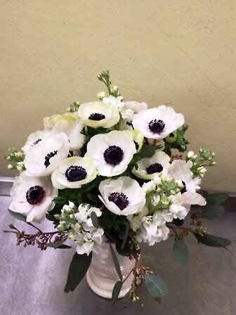 Black-Eye Anemones