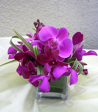 A Designer&#039;s Choice - fresh cut orchids in a vase