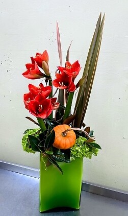 Amaryllis with pumpkin