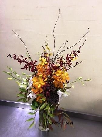 Autumal Orchids in Profusion